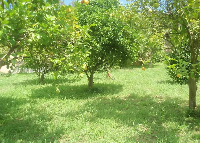 Apartamento Arcos Del Esva Luarca